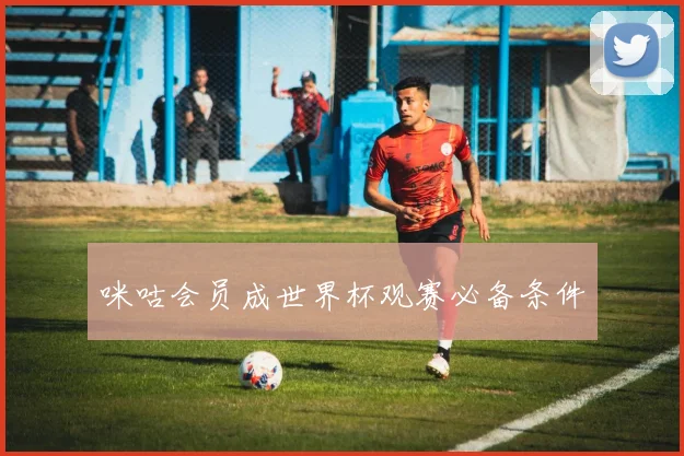 咪咕会员成世界杯观赛必备条件
