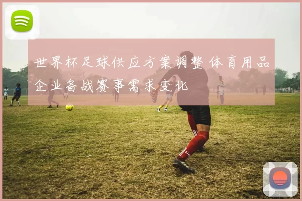 世界杯足球供应方案调整 体育用品企业备战赛事需求变化