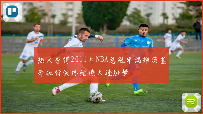 热火夺得2011年NBA总冠军诺维茨基率独行侠终结热火连胜梦