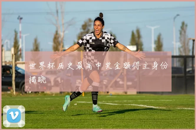 世界杯历史最高中奖金额得主身份揭晓